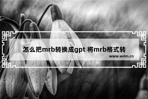 怎么把mrb转换成gpt 将mrb格式转换为gpt格式