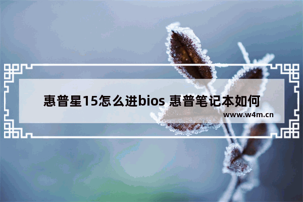 惠普星15怎么进bios 惠普笔记本如何进入BIOS