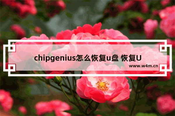 chipgenius怎么恢复u盘 恢复U盘：详解ChipGenius操作