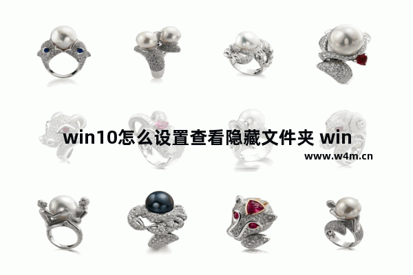 win10怎么设置查看隐藏文件夹 win10如何显示隐藏文件夹