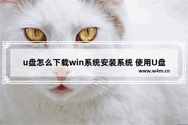 u盘怎么下载win系统安装系统 使用U盘安装Win系统的方法