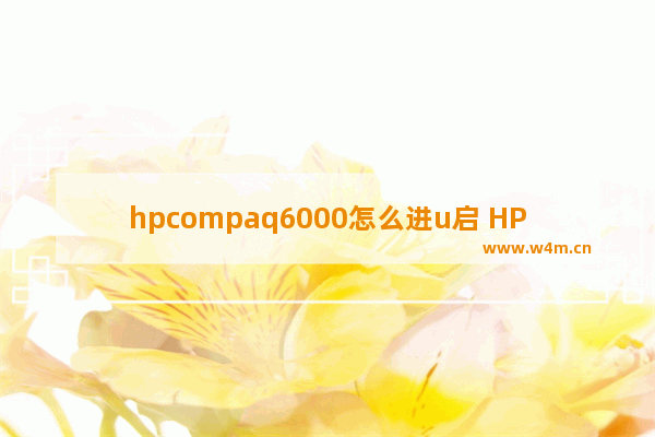 hpcompaq6000怎么进u启 HP Compaq 6000如何进行U盘启动