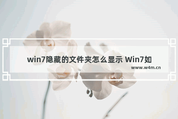 win7隐藏的文件夹怎么显示 Win7如何显示隐藏文件夹