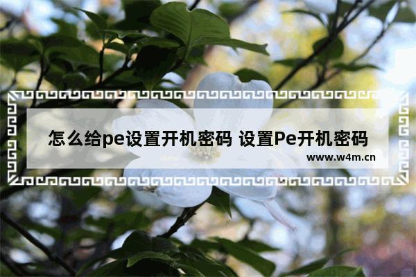 怎么给pe设置开机密码 设置Pe开机密码的方法