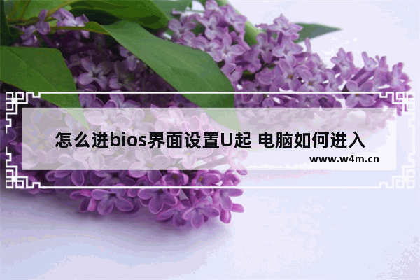 怎么进bios界面设置U起 电脑如何进入BIOS设置界面