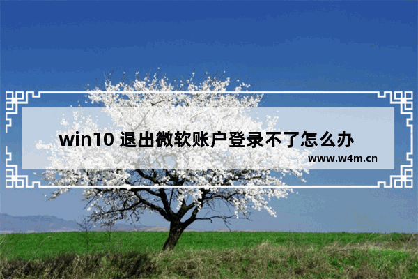 win10 退出微软账户登录不了怎么办 win10无法退出微软账户登录怎么处理