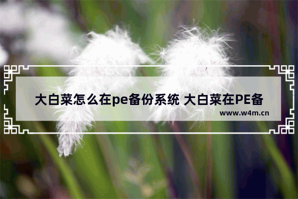 大白菜怎么在pe备份系统 大白菜在PE备份系统的操作