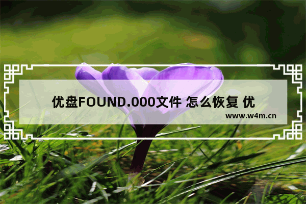 优盘FOUND.000文件 怎么恢复 优盘FOUND.000文件恢复方法