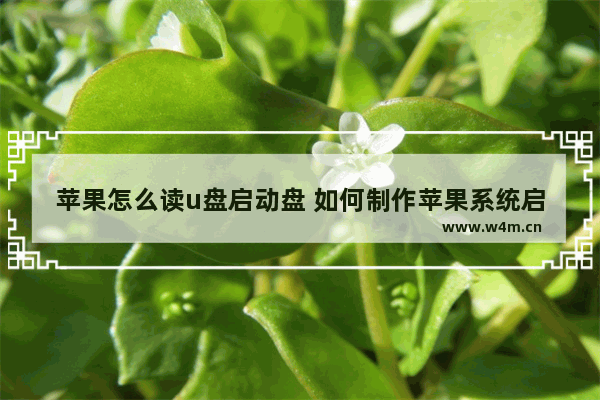 苹果怎么读u盘启动盘 如何制作苹果系统启动盘