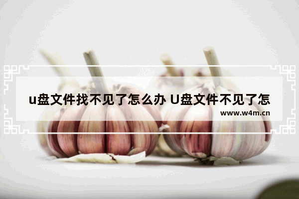 u盘文件找不见了怎么办 U盘文件不见了怎么办