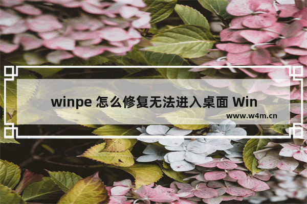 winpe 怎么修复无法进入桌面 WinPE如何解决无法启动桌面问题