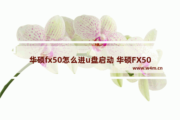 华硕fx50怎么进u盘启动 华硕FX50如何使用U盘启动