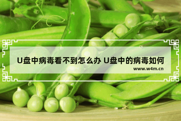 U盘中病毒看不到怎么办 U盘中的病毒如何处理？