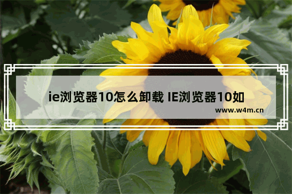 ie浏览器10怎么卸载 IE浏览器10如何删除？