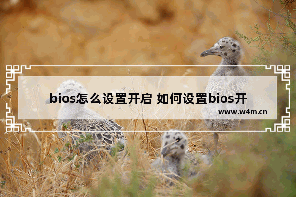 bios怎么设置开启 如何设置bios开机项