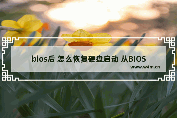 bios后 怎么恢复硬盘启动 从BIOS恢复硬盘启动的方法