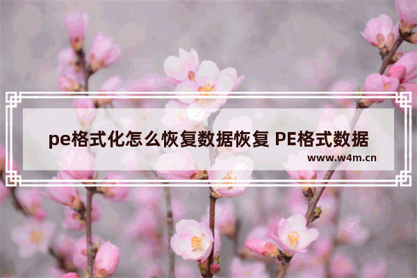 pe格式化怎么恢复数据恢复 PE格式数据丢失？快速恢复方法！