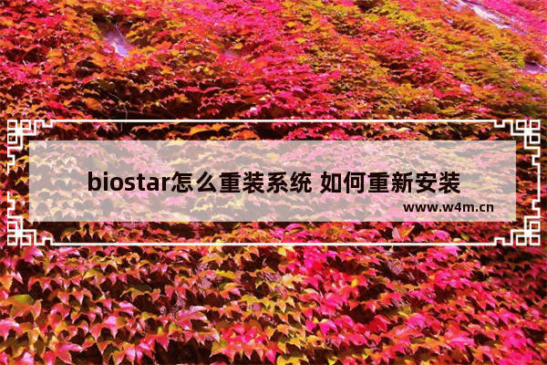 biostar怎么重装系统 如何重新安装Biostar系统