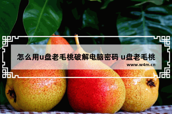 怎么用u盘老毛桃破解电脑密码 u盘老毛桃破解电脑密码的方法