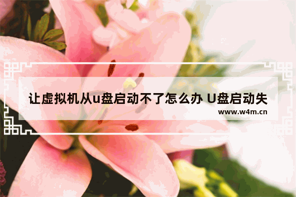 让虚拟机从u盘启动不了怎么办 U盘启动失败怎么办？