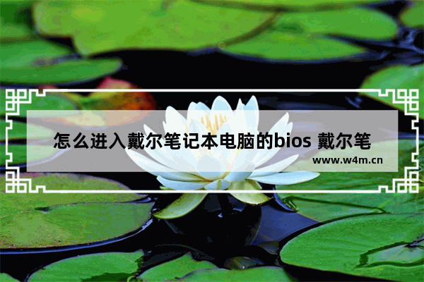 怎么进入戴尔笔记本电脑的bios 戴尔笔记本如何进入bios