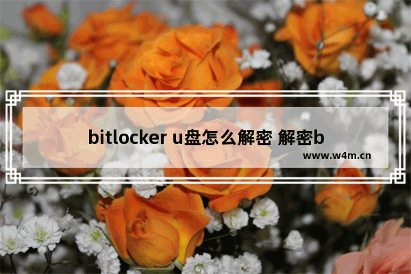 bitlocker u盘怎么解密 解密bitlocker加密的U盘：详细教程