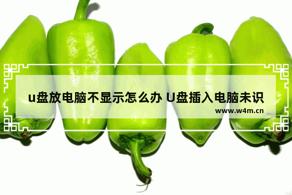 u盘放电脑不显示怎么办 U盘插入电脑未识别，怎么办？