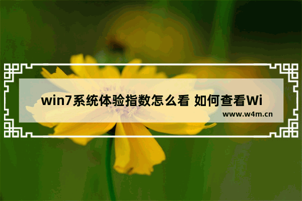 win7系统体验指数怎么看 如何查看Win7系统的体验指数？