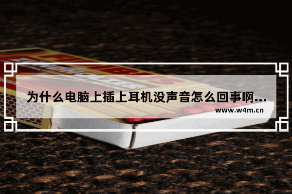 为什么电脑上插上耳机没声音怎么回事啊 电脑插耳机没声音是怎么回事？