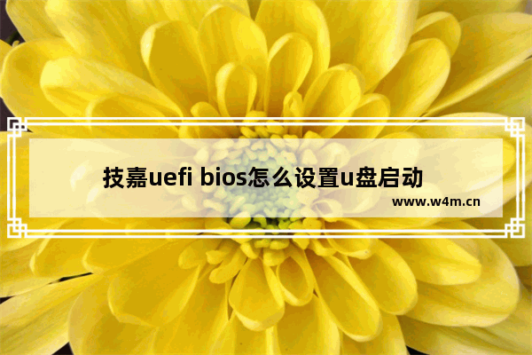 技嘉uefi bios怎么设置u盘启动 如何在技嘉UEFI BIOS中设置U盘启动