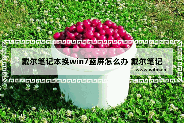 戴尔笔记本换win7蓝屏怎么办 戴尔笔记本遇win7蓝屏，解决方法！