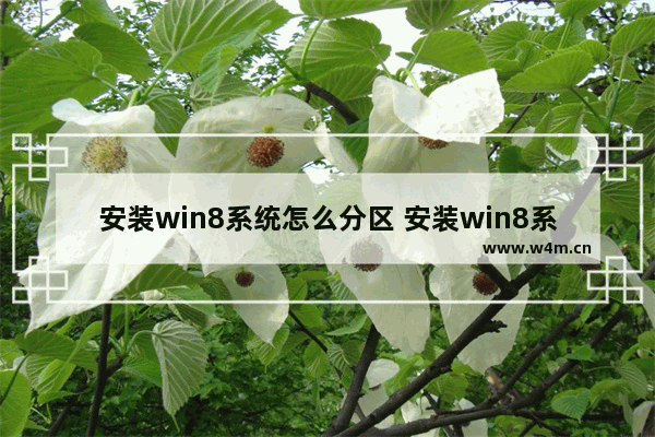 安装win8系统怎么分区 安装win8系统分区教程