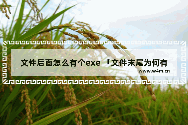 文件后面怎么有个exe 「文件末尾为何有.exe」