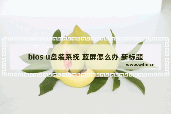 bios u盘装系统 蓝屏怎么办 新标题：bios设置u盘安装系统蓝屏问题解决