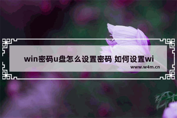 win密码u盘怎么设置密码 如何设置win密码U盘的密码