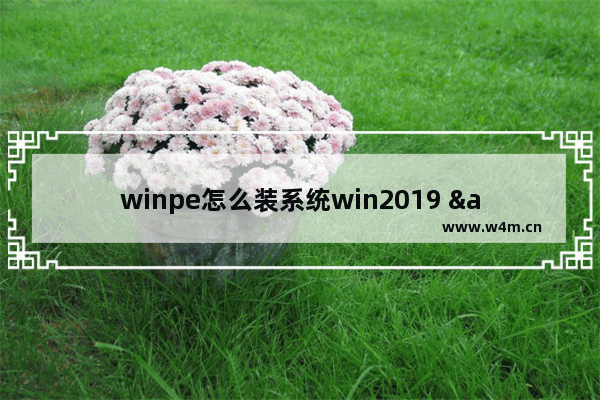 winpe怎么装系统win2019 "WinPE安装Windows Server 2019的步骤简述"