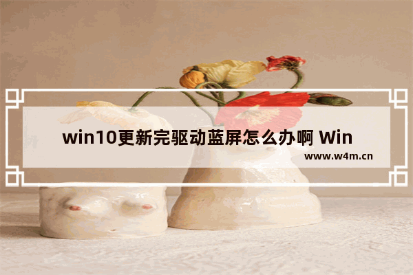 win10更新完驱动蓝屏怎么办啊 Win10驱动更新导致蓝屏，应该如何解决？