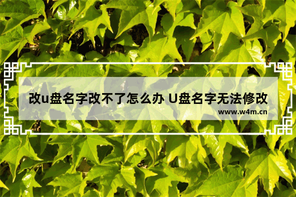 改u盘名字改不了怎么办 U盘名字无法修改怎么办