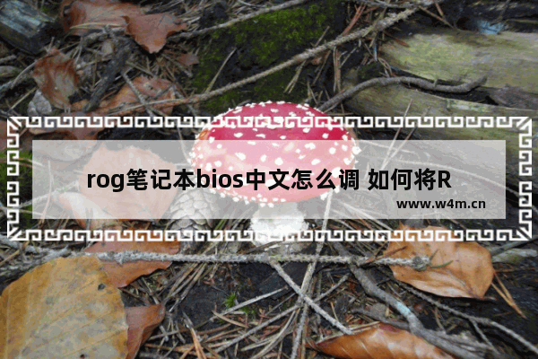 rog笔记本bios中文怎么调 如何将ROG笔记本的BIOS设置为中文？