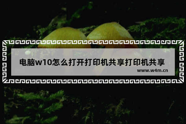 电脑w10怎么打开打印机共享打印机共享 打开电脑w10打印机共享的方法