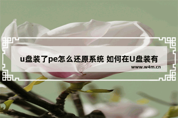 u盘装了pe怎么还原系统 如何在U盘装有PE的情况下进行系统还原