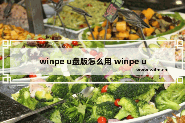 winpe u盘版怎么用 winpe u盘版的使用方法