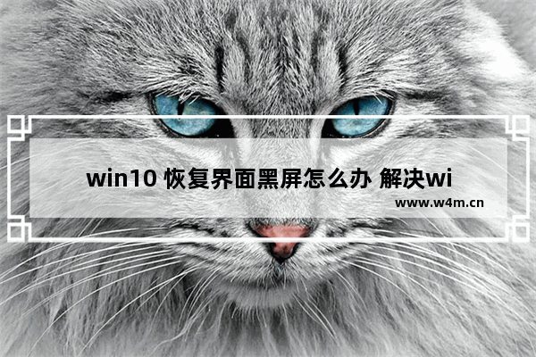 win10 恢复界面黑屏怎么办 解决win10恢复黑屏问题