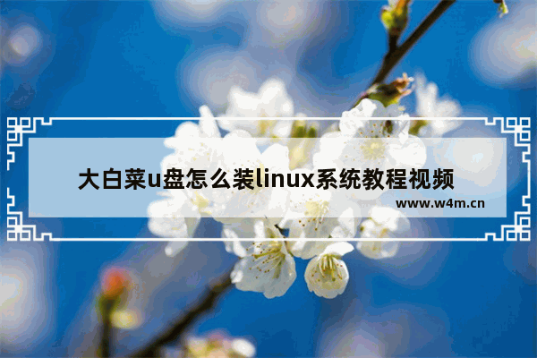 大白菜u盘怎么装linux系统教程视频 安装Linux系统教程：从U盘启动到大白菜