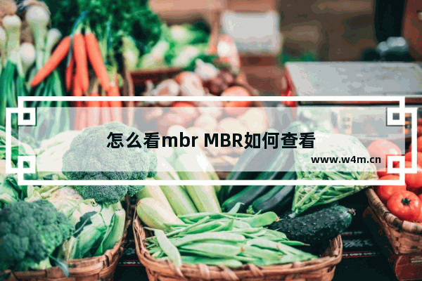 怎么看mbr MBR如何查看