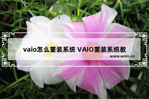 vaio怎么重装系统 VAIO重装系统教程