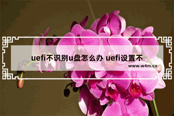 uefi不识别u盘怎么办 uefi设置不支持u盘，该怎么办？