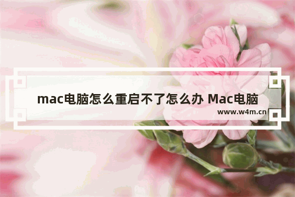 mac电脑怎么重启不了怎么办 Mac电脑无法启动解决方法