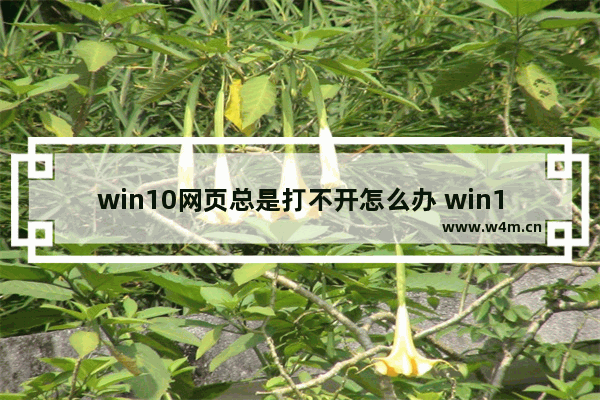 win10网页总是打不开怎么办 win10网页无法打开的解决方法