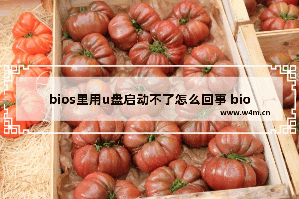 bios里用u盘启动不了怎么回事 bios设置u盘启动无效怎么办